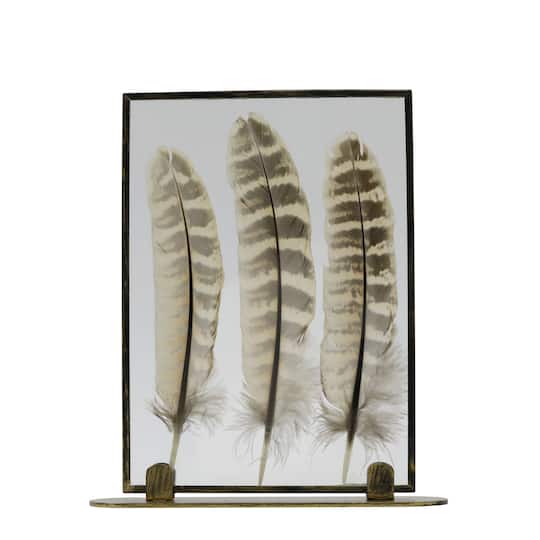 Framed Floating Feather Tabletop Décor by Ashland®